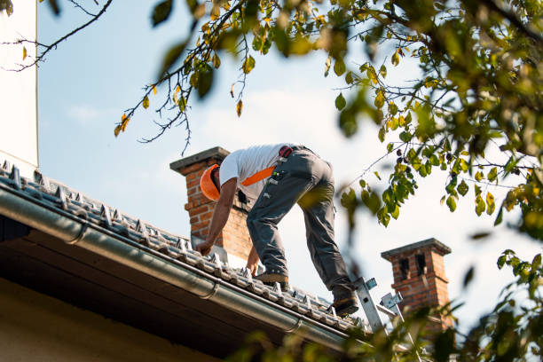 Best Residential Roofing Contractor  in Sherman, IL