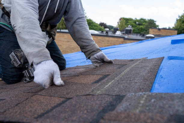 Best New Roof Installation  in Sherman, IL