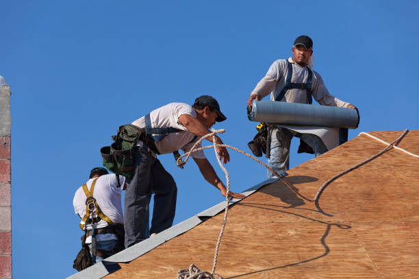 Quick and Trustworthy Emergency Roof Repair Services in Sherman, IL